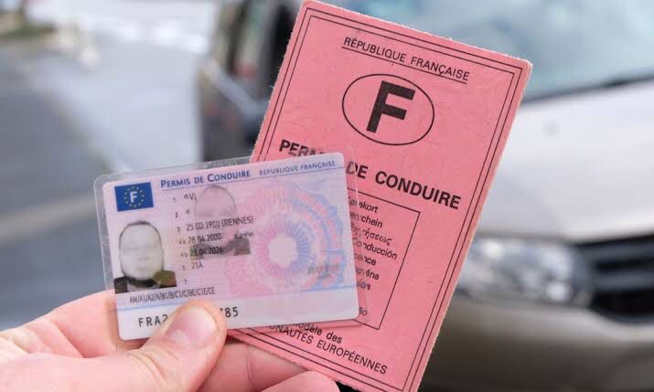 Permis de conduire français catégorie D1E à vendre à Toulouse